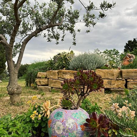 Istrian Green House Portorož Kültér fotó